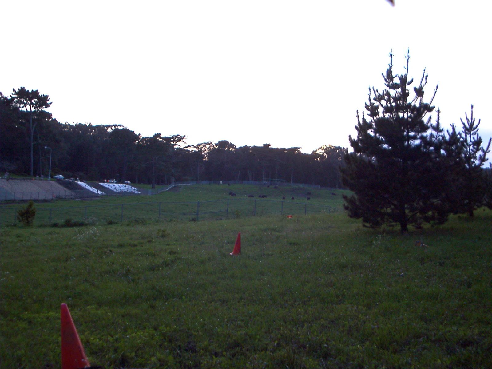 PDRM0487.JPG