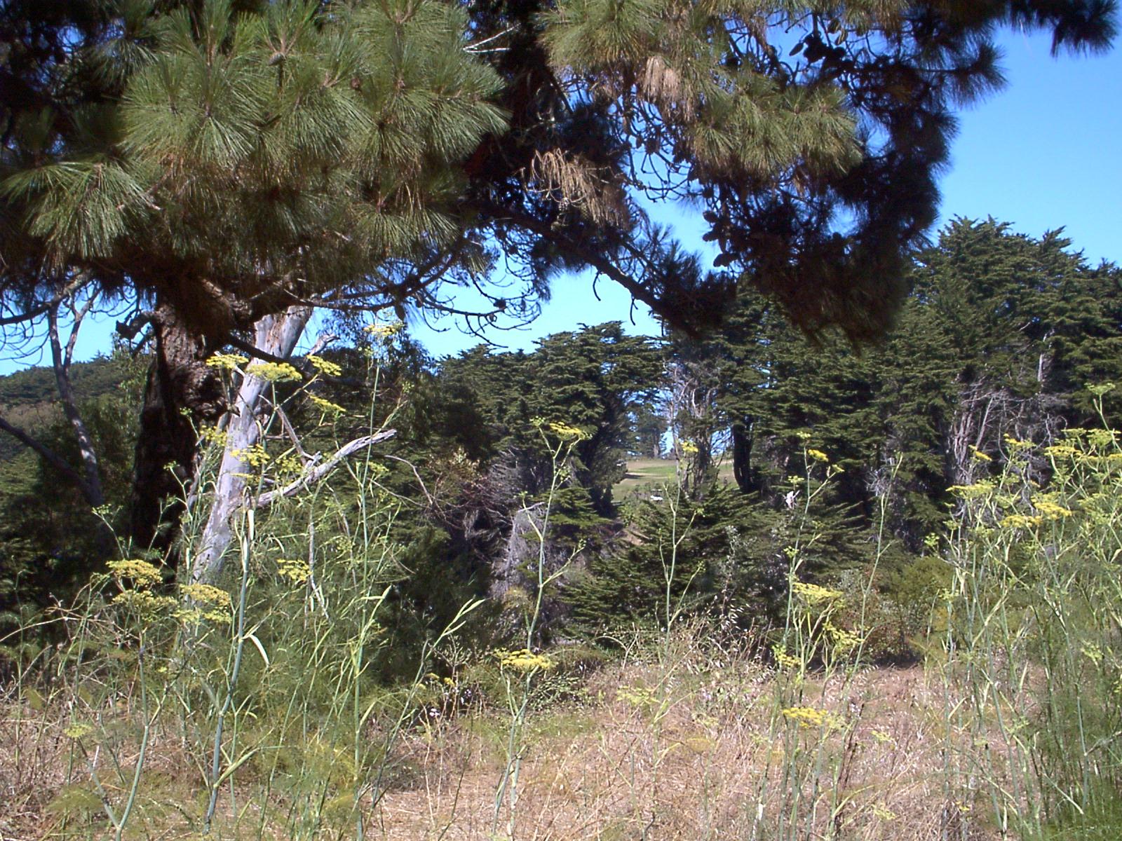 Image001.jpg