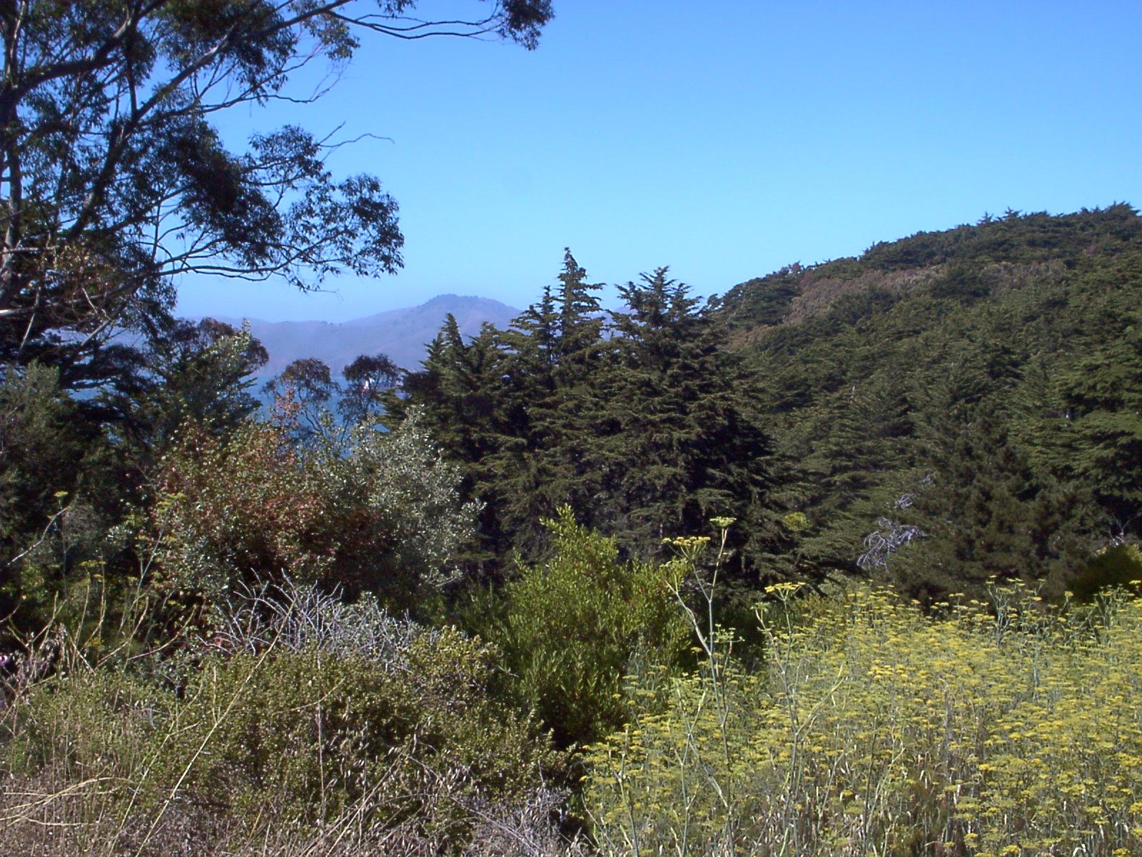 Image002.jpg