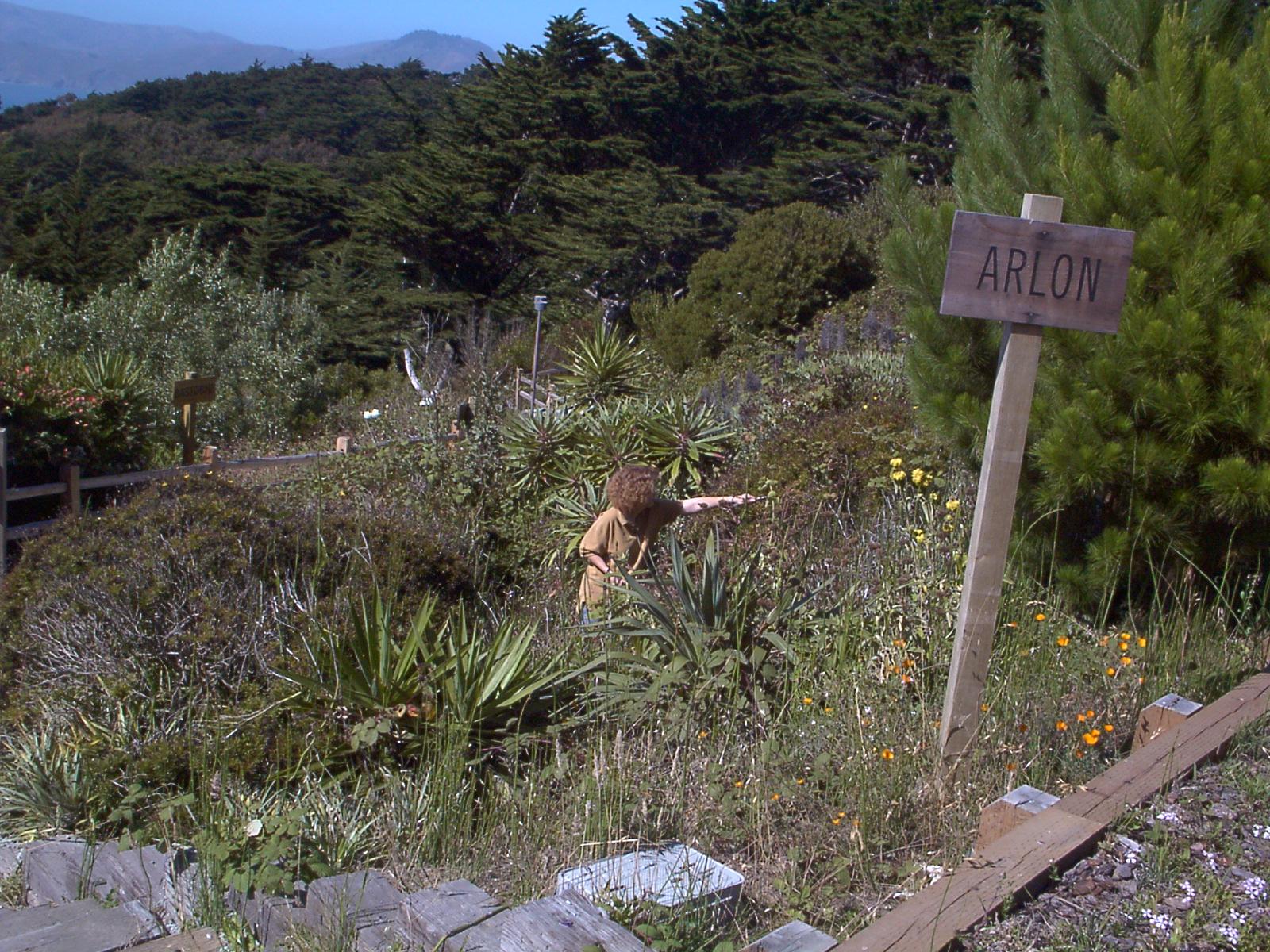 Image006.jpg