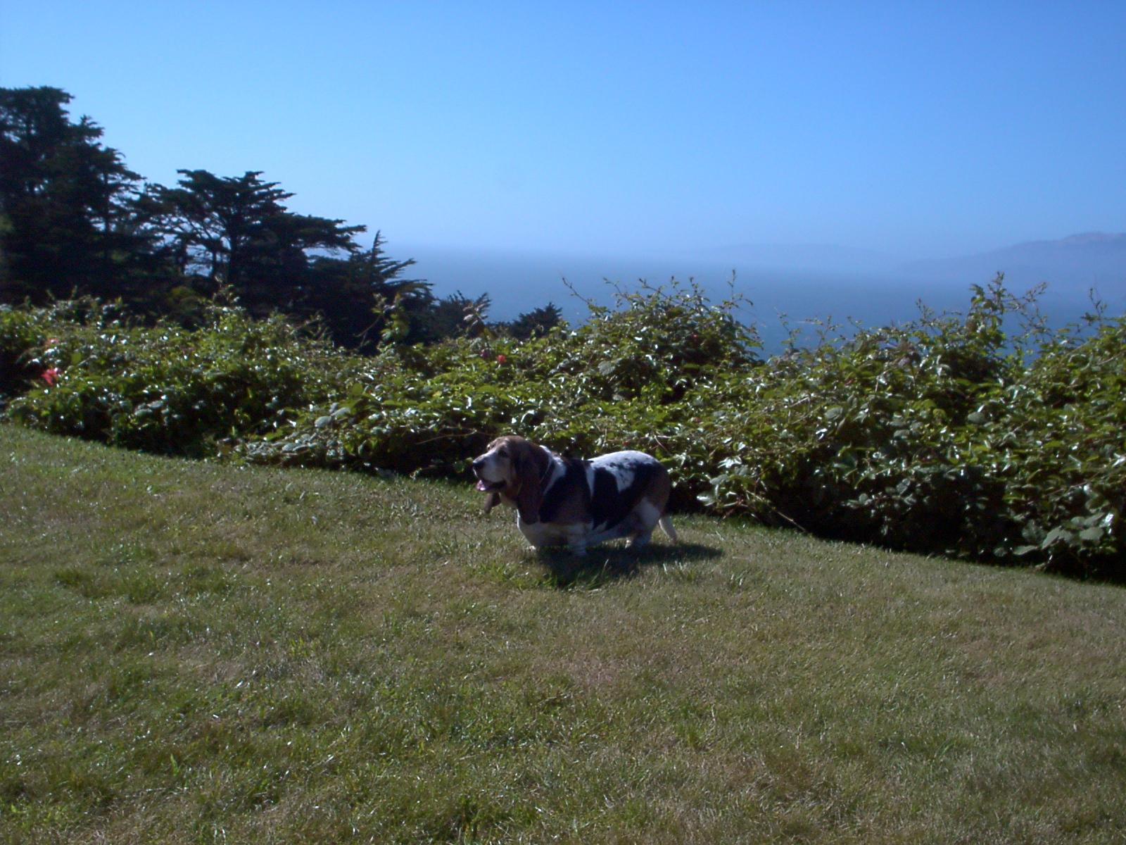 Image007.jpg