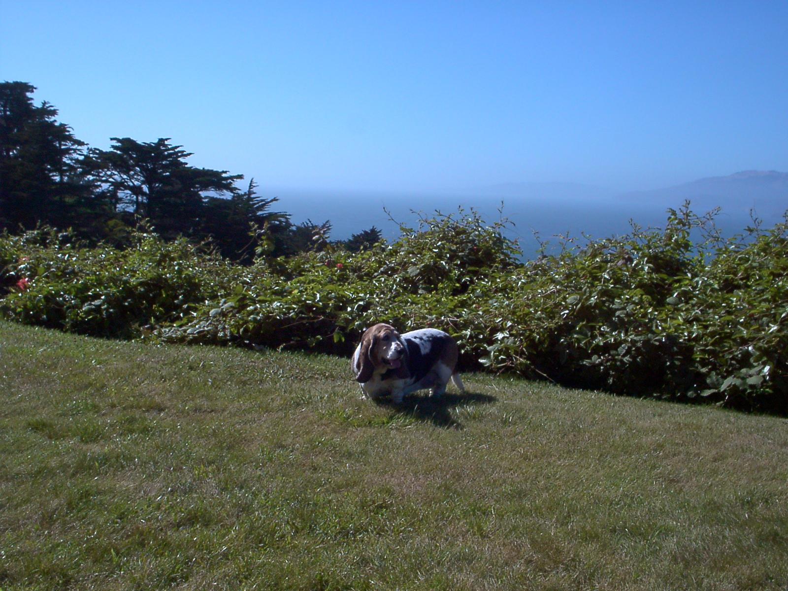 Image008.jpg