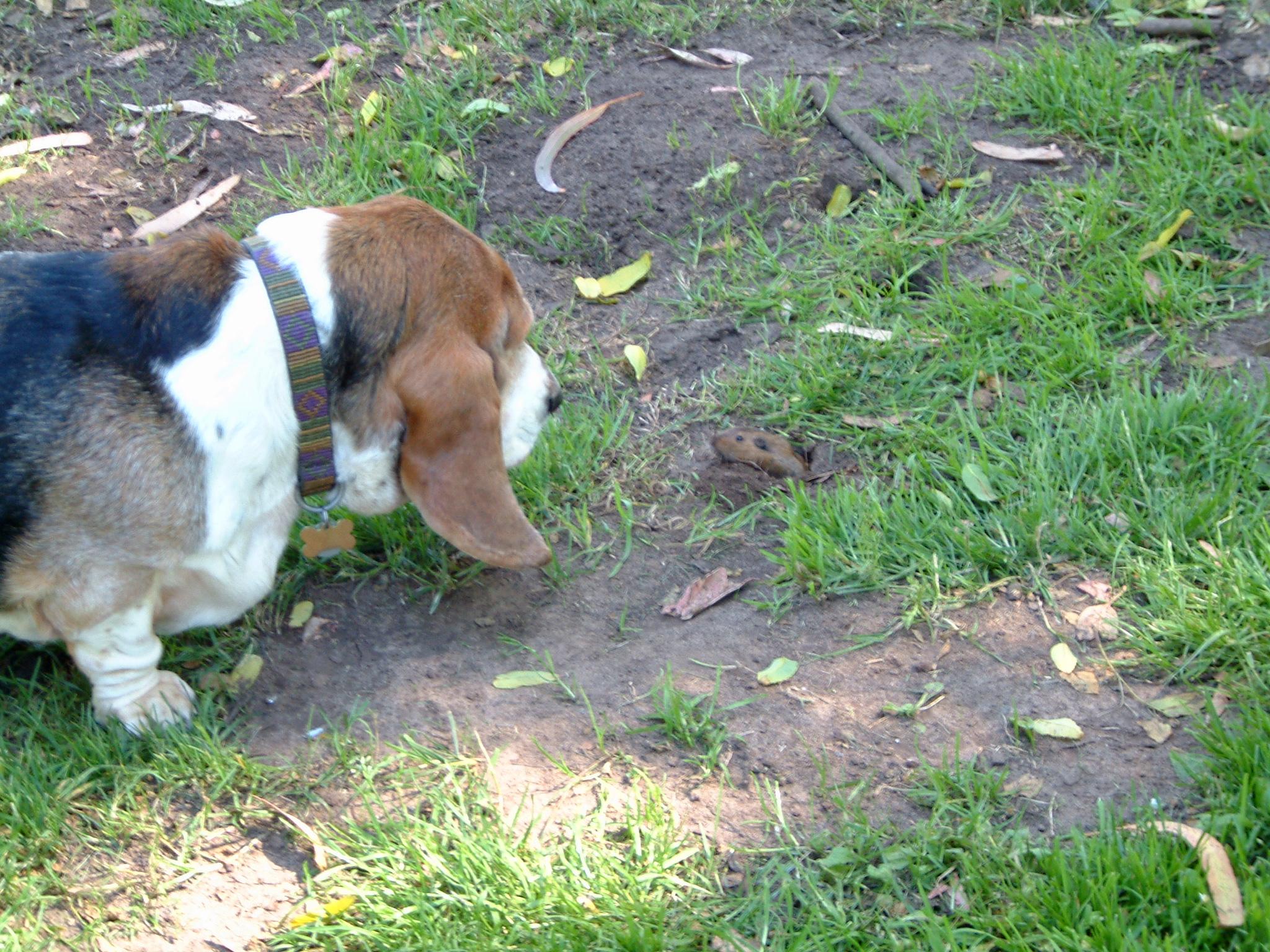 DSCF0002.JPG