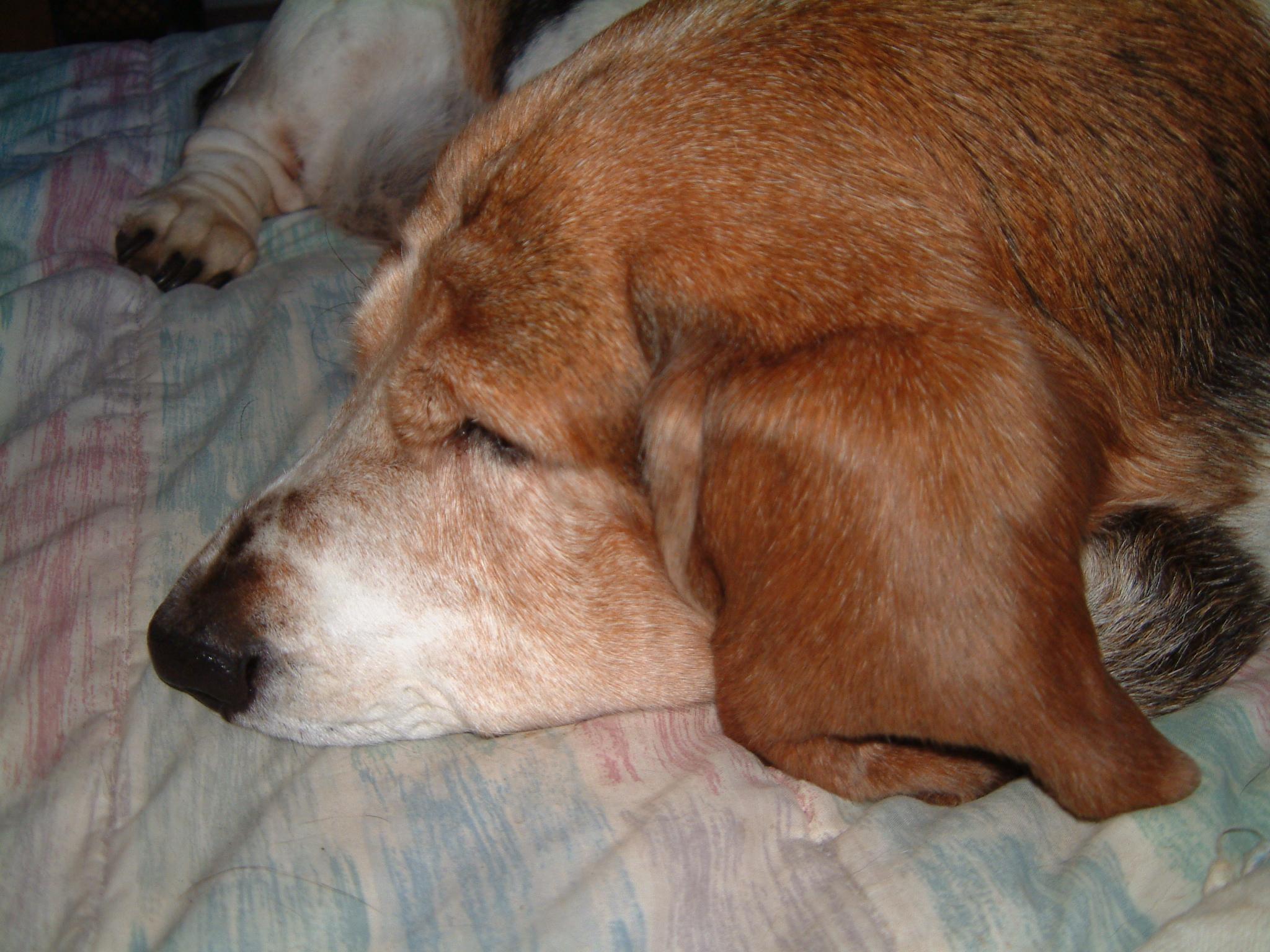 DSCF0008.JPG