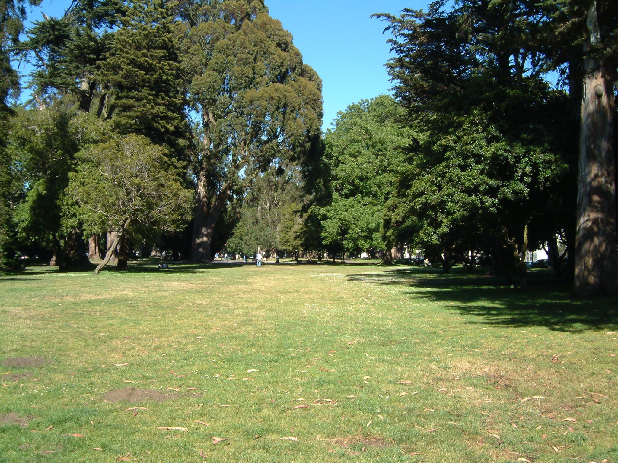 DSCF0044.JPG