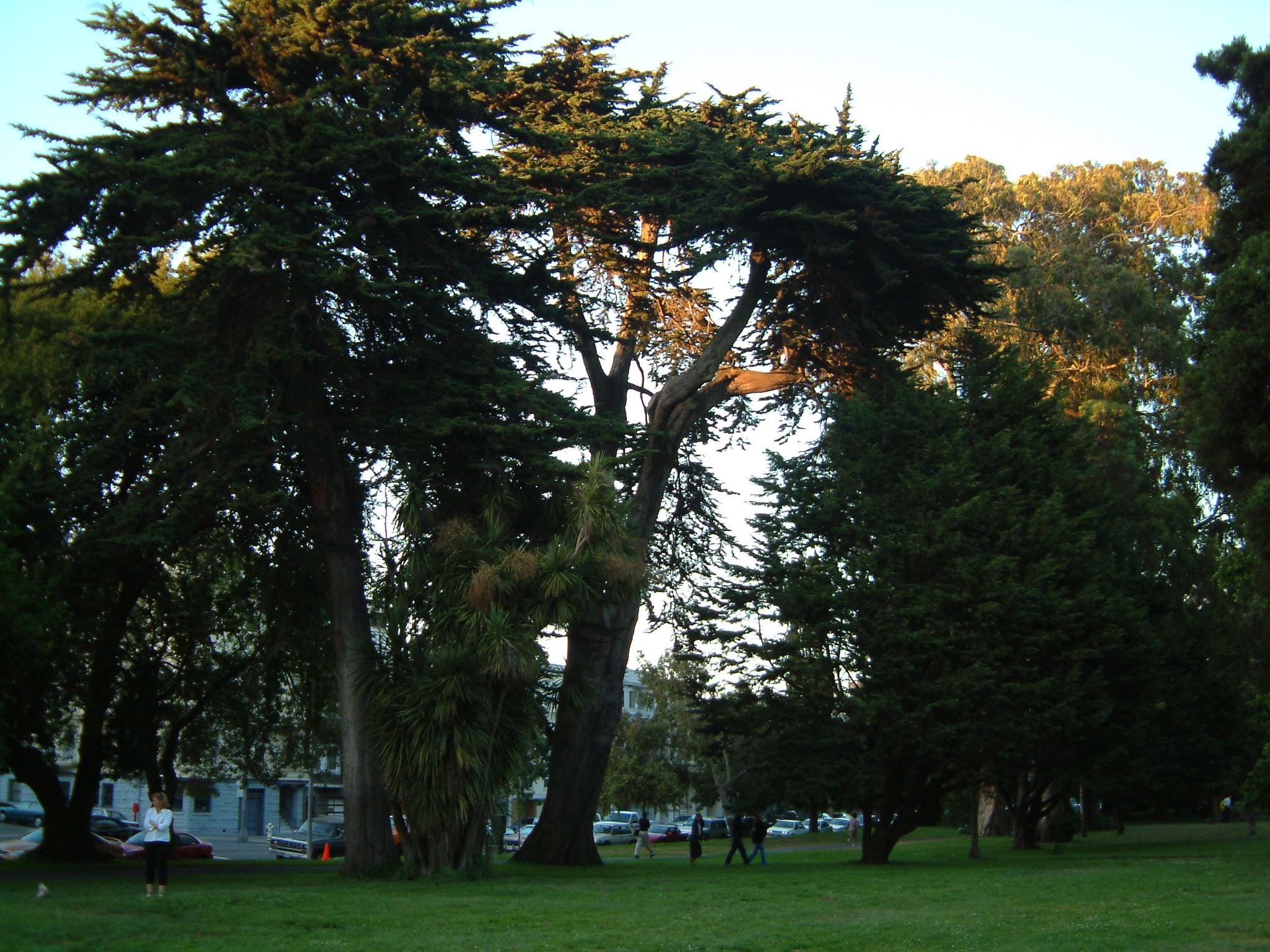 DSCF0048.JPG