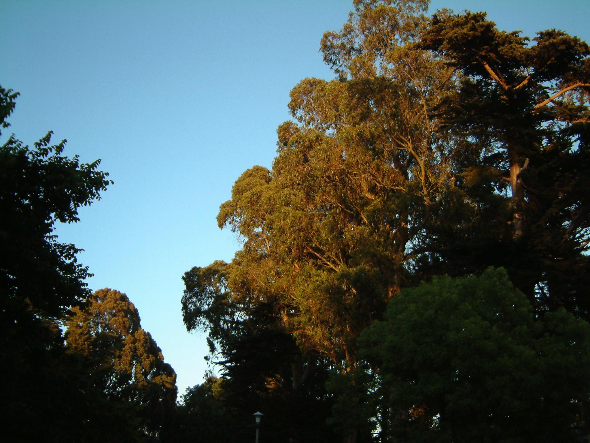 DSCF0049.JPG