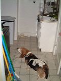 dscf0071