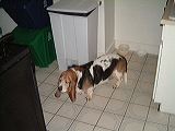 dscf0072