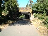 dscf0101