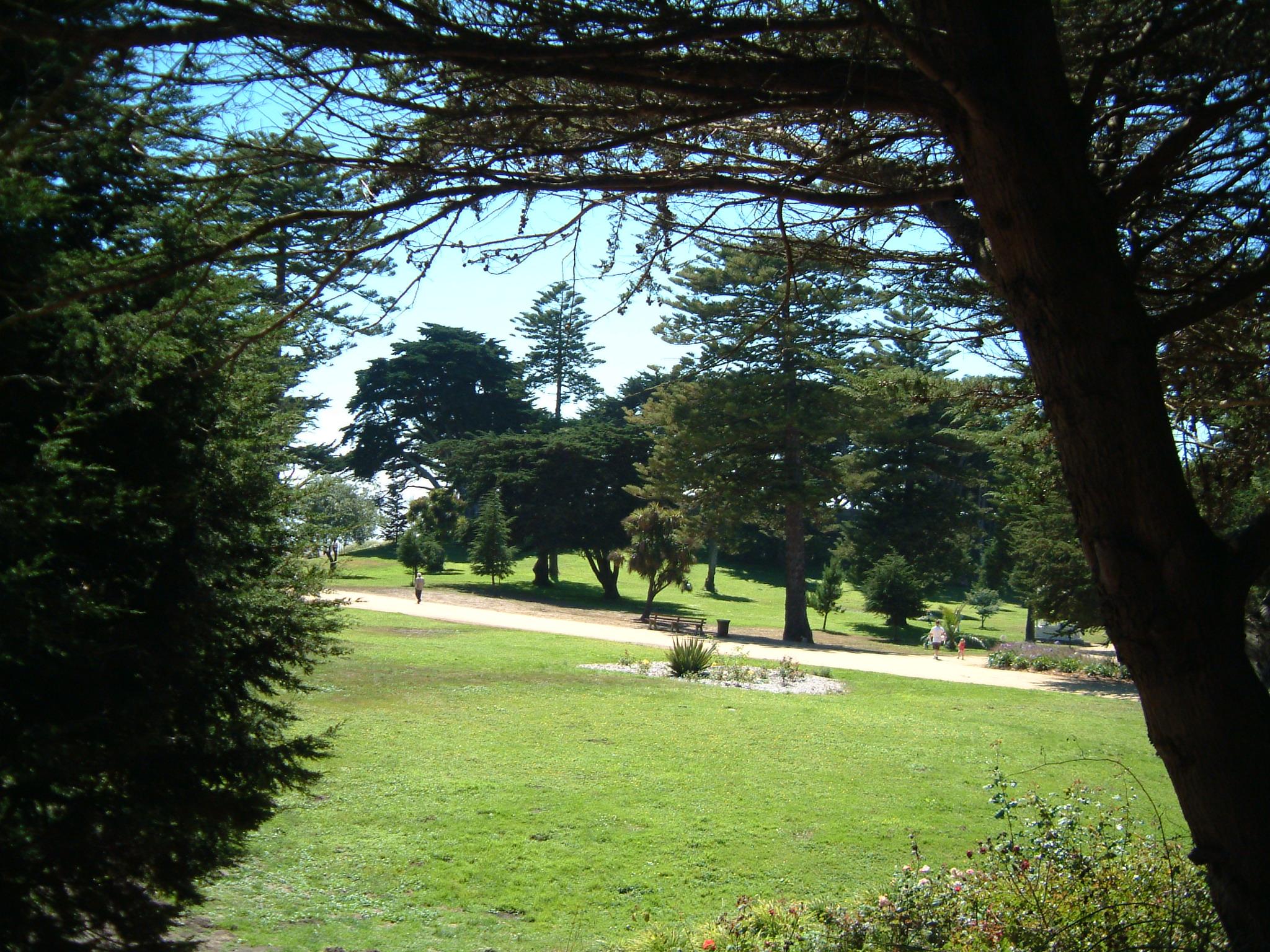 dscf0496