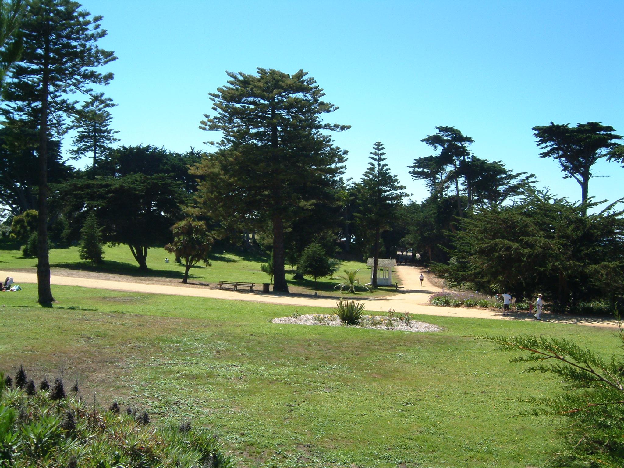 dscf0497