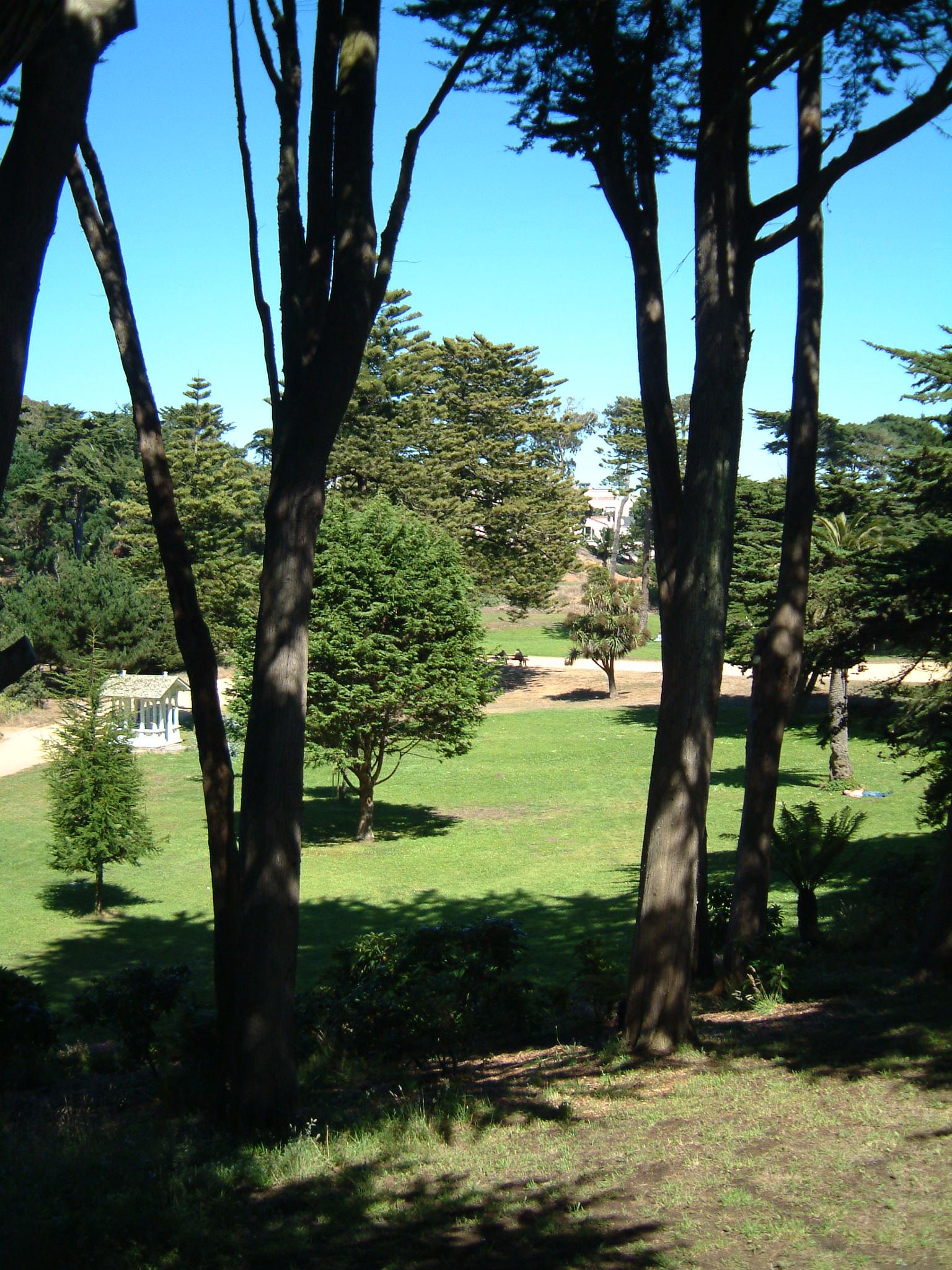 dscf0499