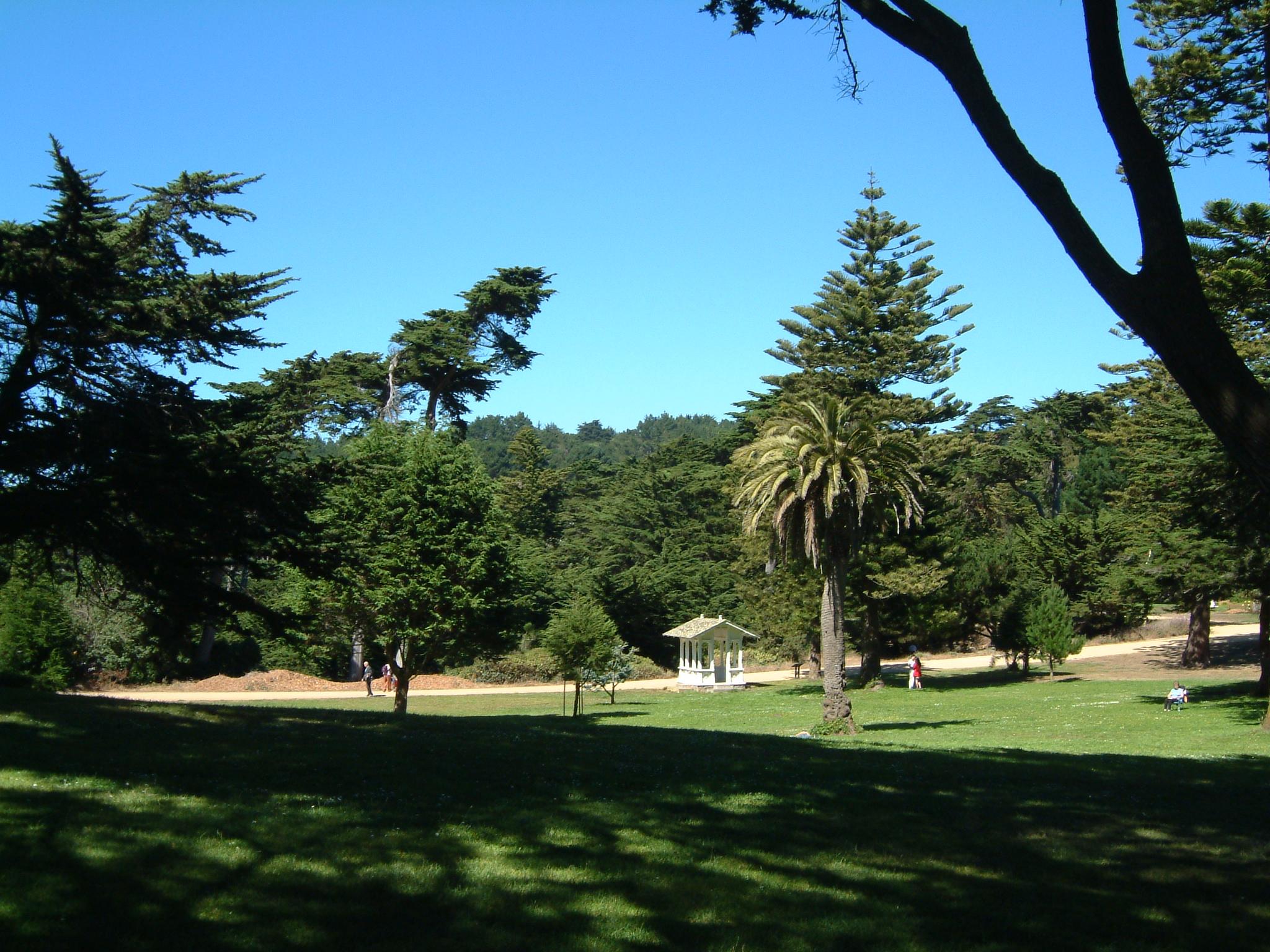 dscf0513