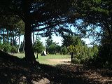 dscf0495
