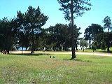 dscf0498