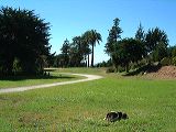 dscf0523
