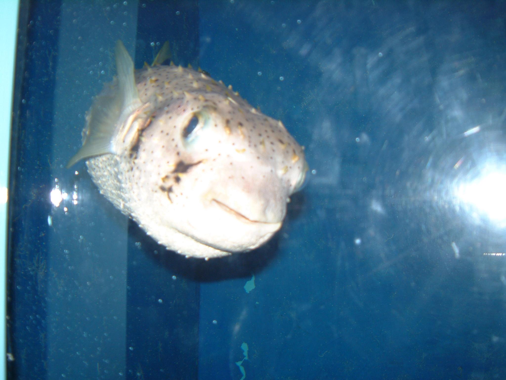 dscf0661