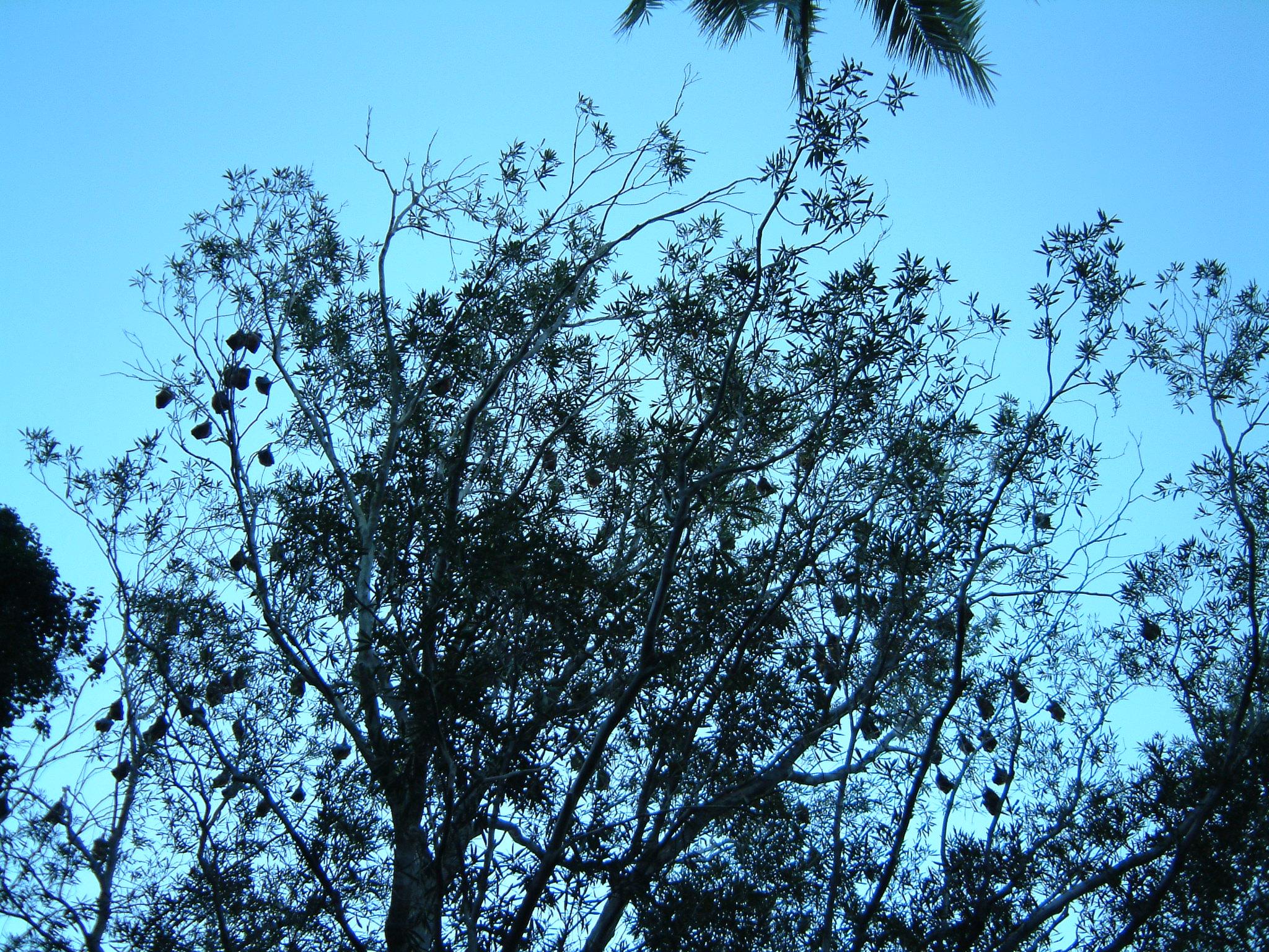 dscf0689