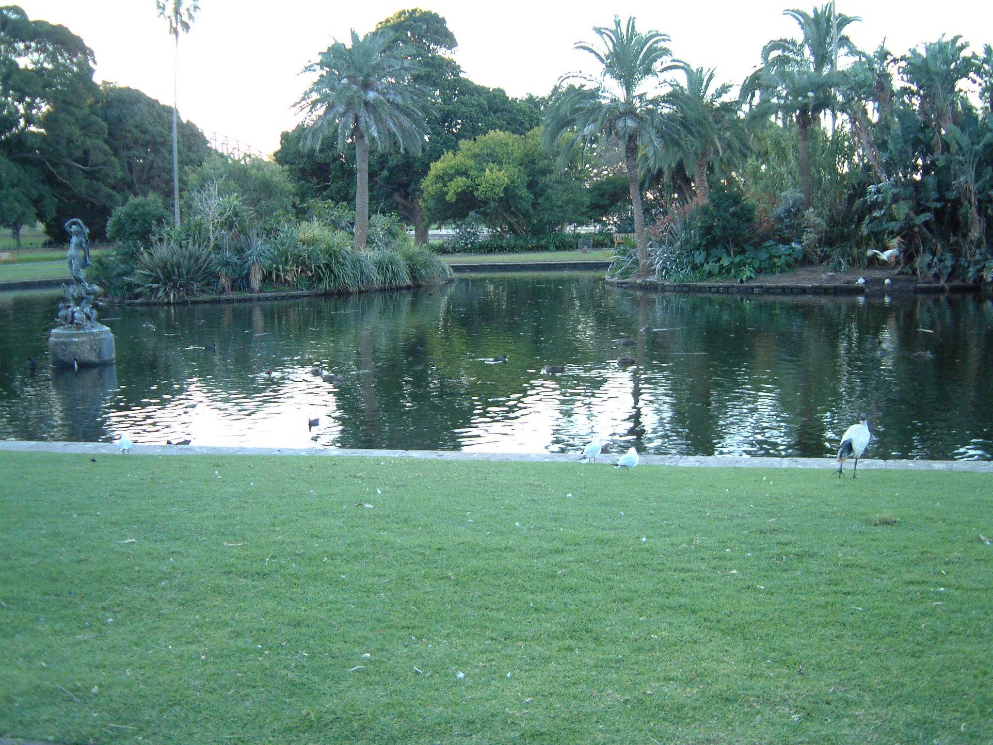 dscf0692