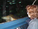 dscf0659