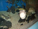dscf0660
