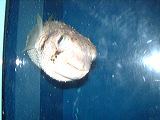 dscf0661