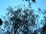 dscf0689