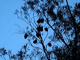 dscf0690