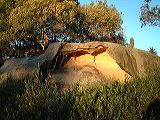 dscf0694