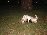 dscf0290