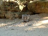dscf0755