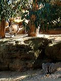 dscf0756