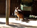 dscf0757