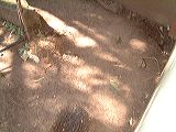dscf0758