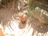 dscf0759