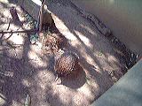 dscf0760
