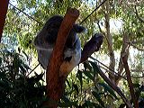 dscf0761