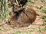dscf0762