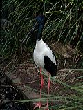 dscf0771