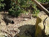 dscf0776