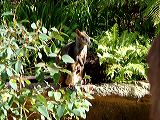 dscf0777