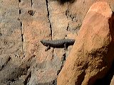 dscf0778