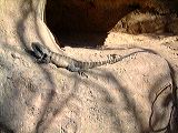 dscf0780