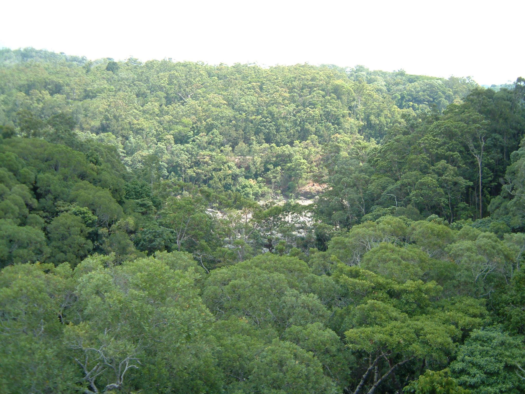 dscf0870