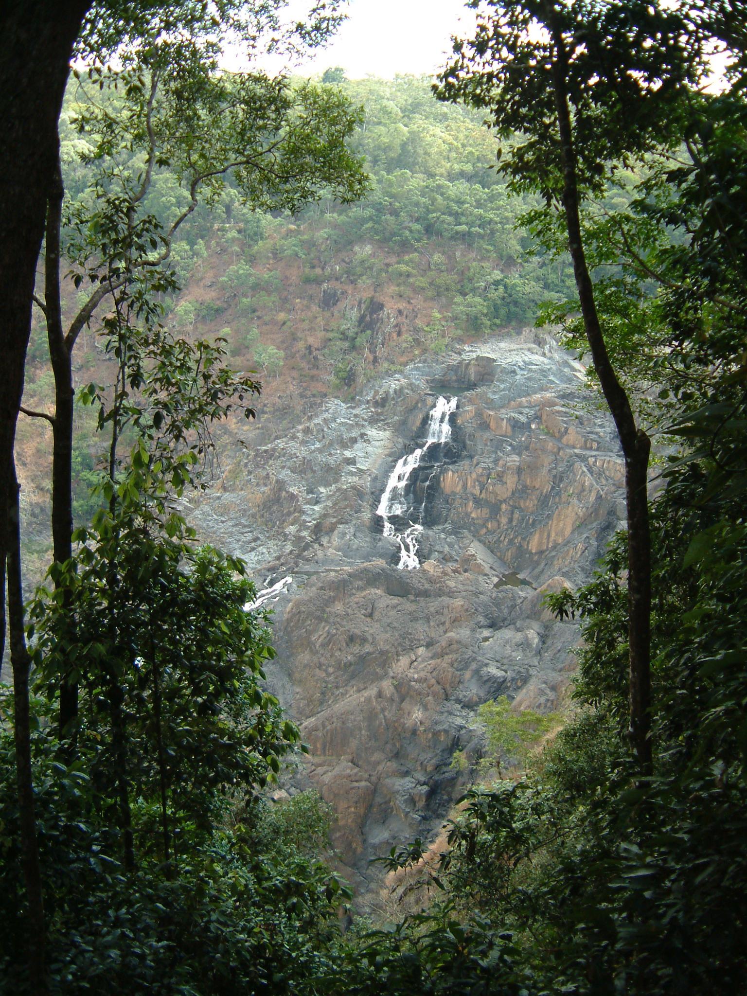 dscf0873