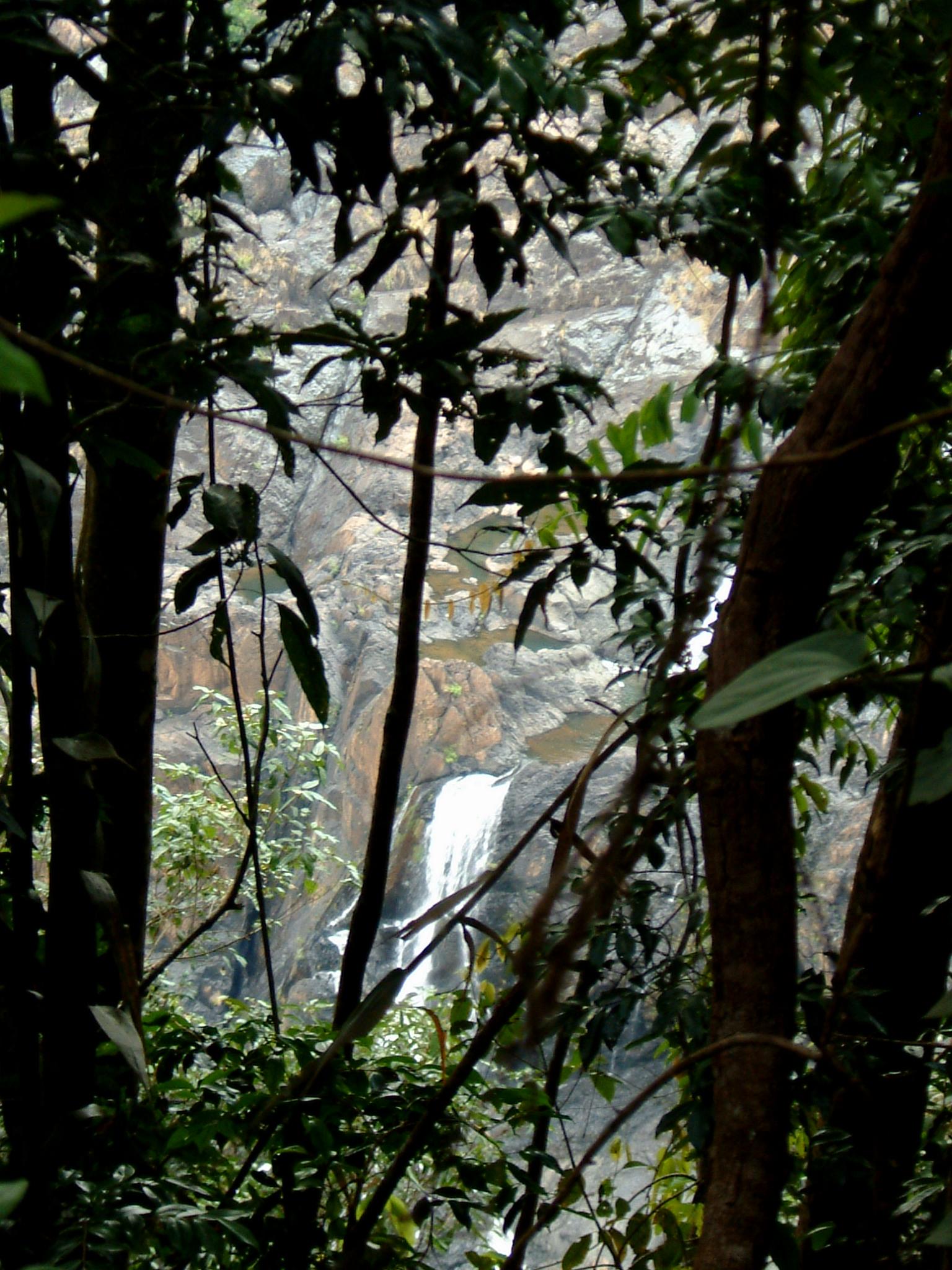 dscf0875