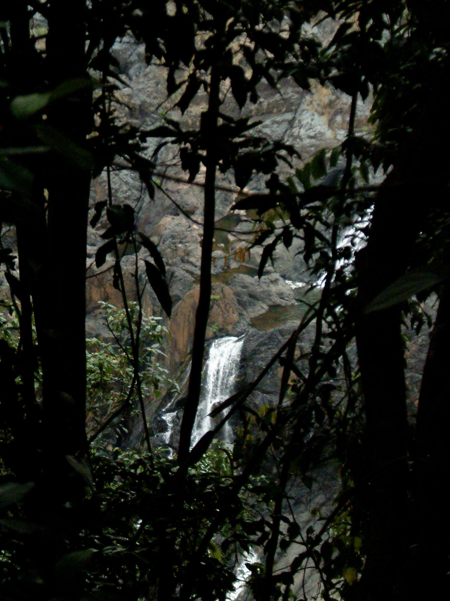 dscf0876
