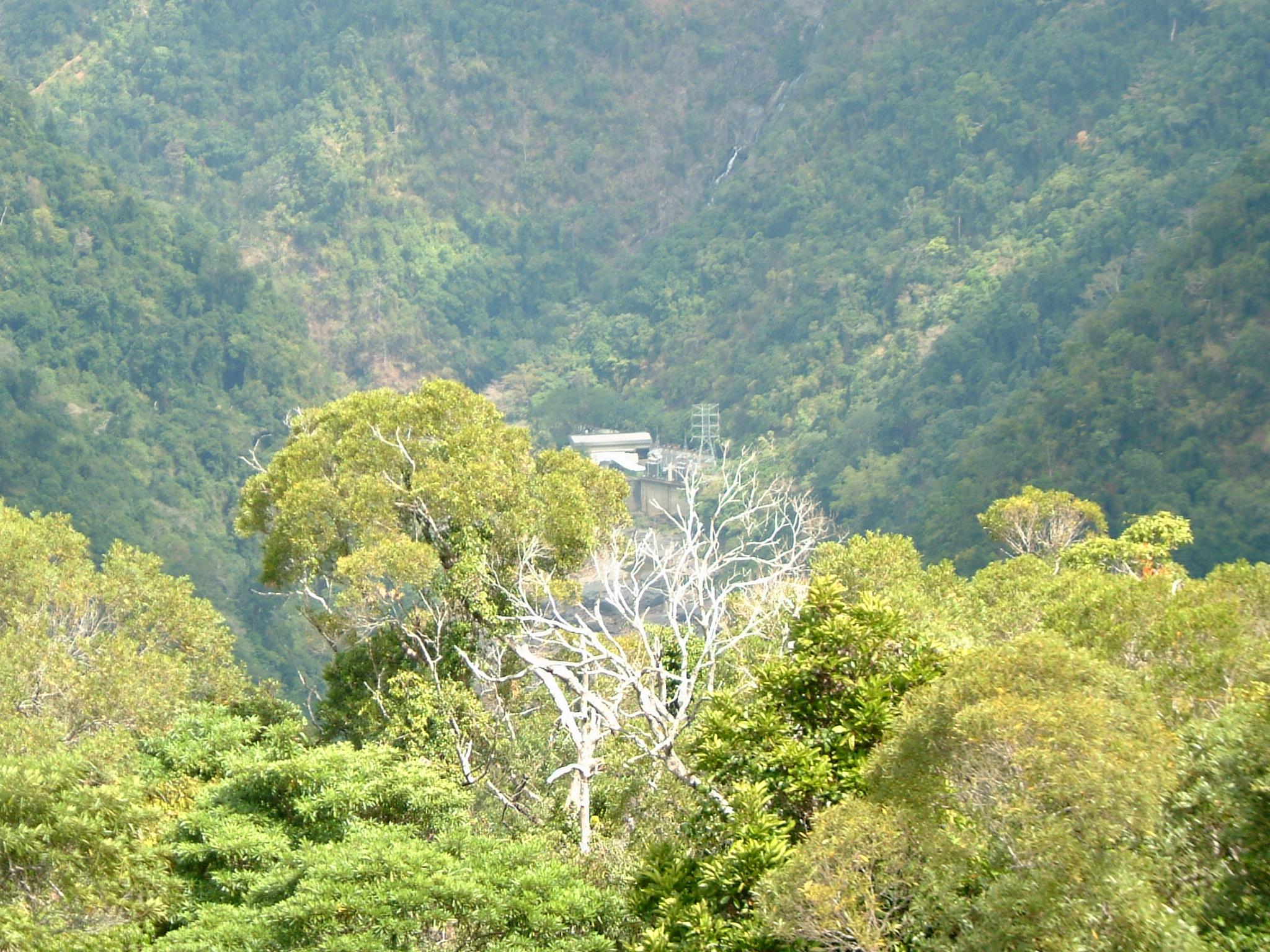 dscf0891