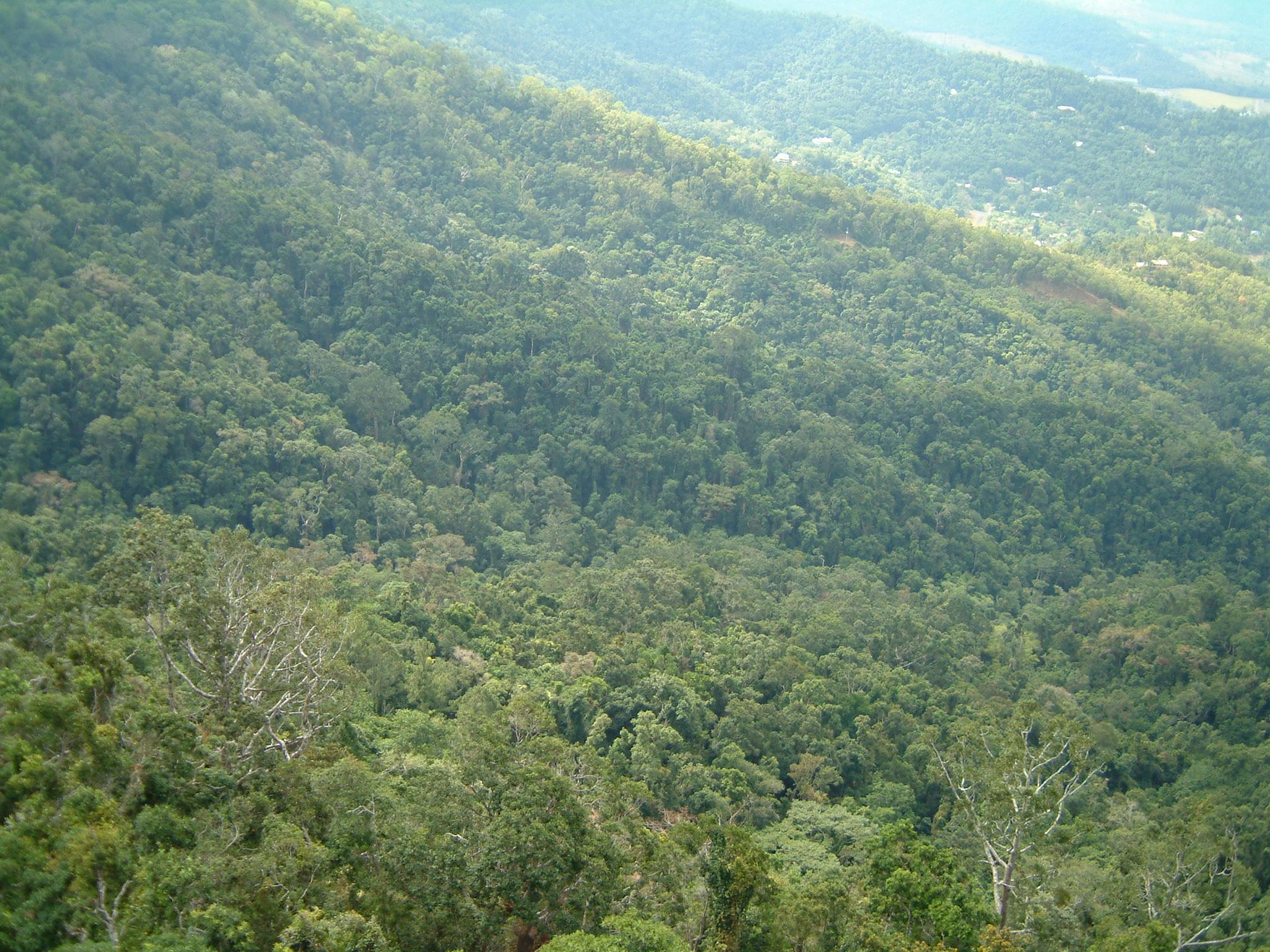 dscf0914